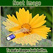 Logo Neat Image Logo Neat Image